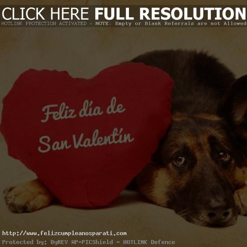 imagenes por san valentin perro